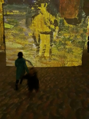 carrières de lumières,van gogh,art