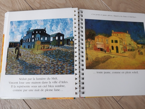 van gogh,livre,art