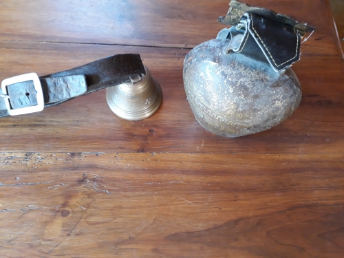 éveil musical,montagne