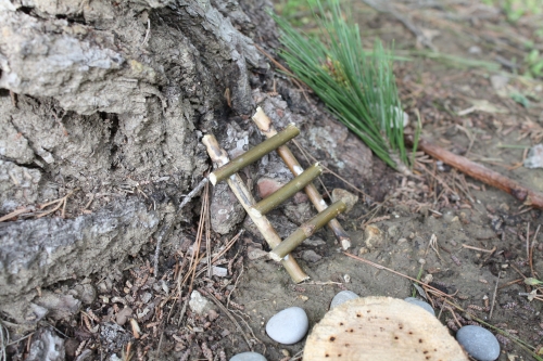 kazuo iwamura,famille souris