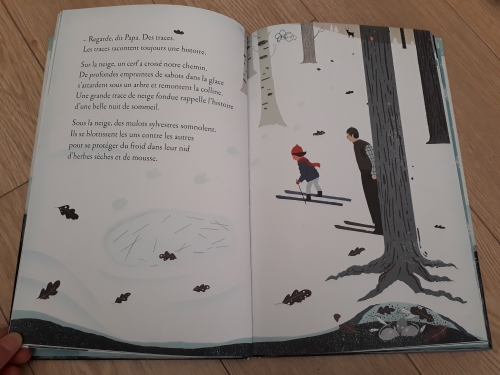 Tout un monde sous la neige Livre (3).jpg