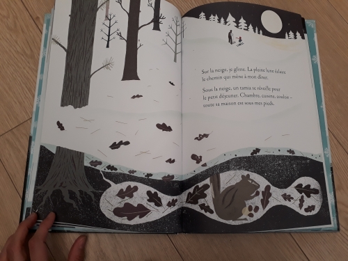 Tout un monde sous la neige Livre (5).jpg