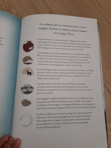 Tout un monde sous la neige Livre (7).jpg