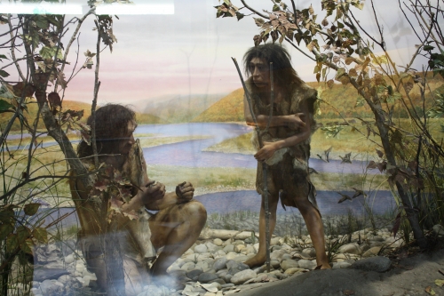 préhistoire,musée,quinson,village