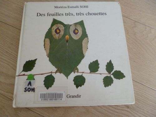 livre,feuille,activité,enfant,animaux,chouette