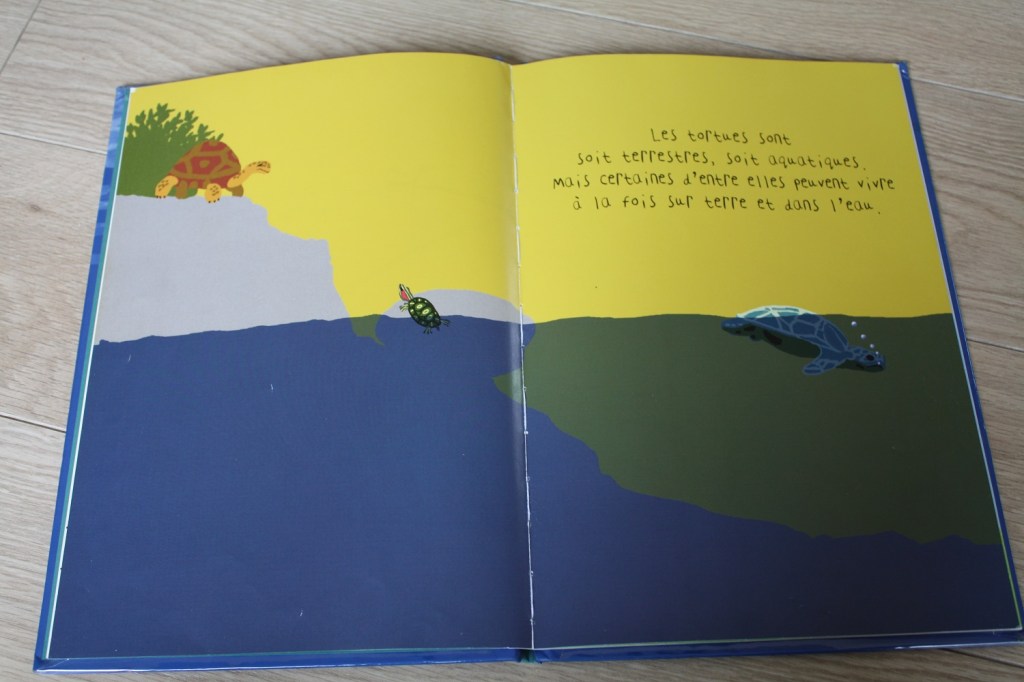 tortue,livre