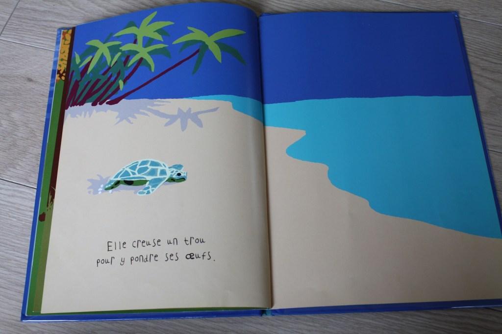 tortue,livre