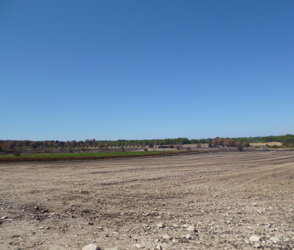 Sensibilisation incendie de forêt.JPG