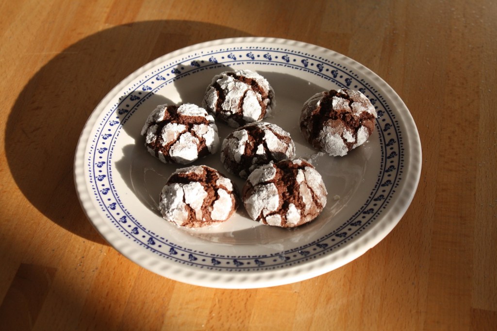 Crinkles au chocolat et sucre de fleur de coco (3).JPG