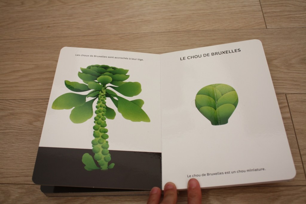 Légumes de saison (3).JPG