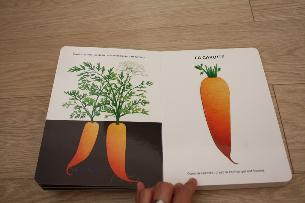 Légumes de saison (5).JPG