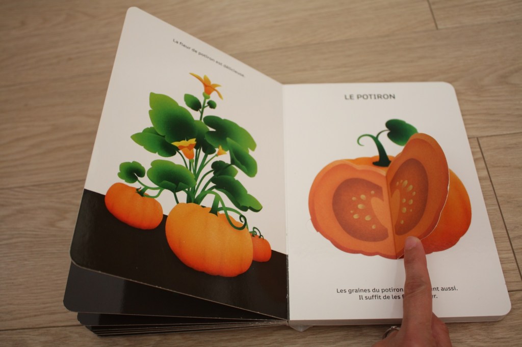 Légumes de saison (1).JPG