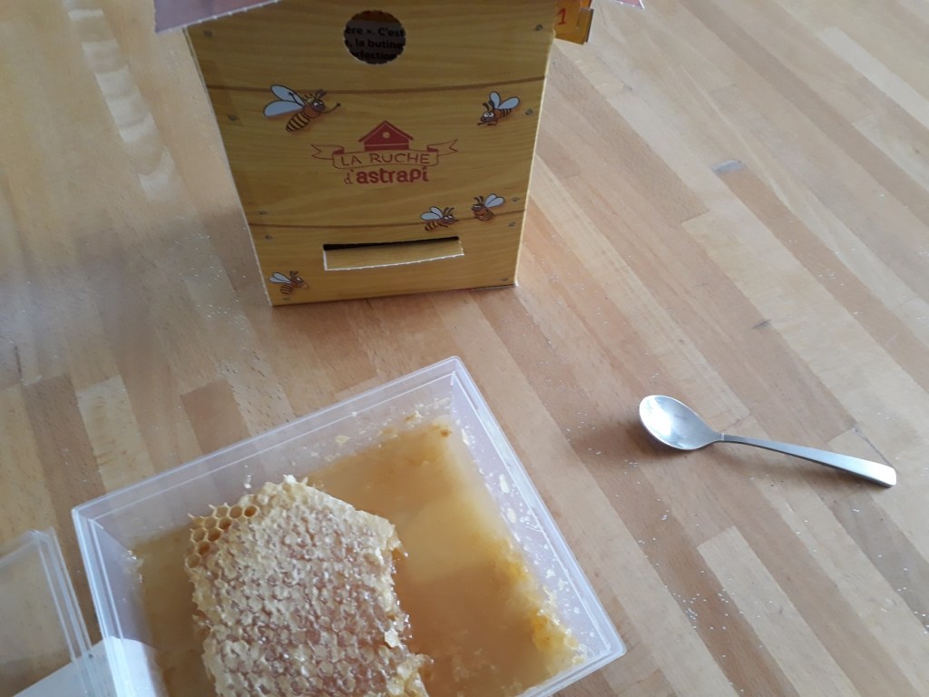 miel,abeille,ruche,astrapi