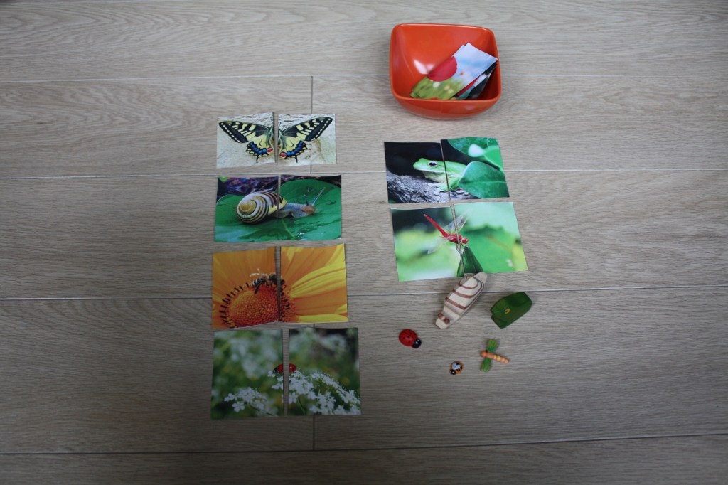 puzzle,printable,petites bêtes,jardin