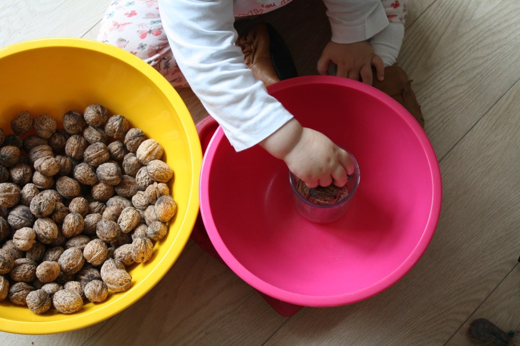 transvasement,montessori,noix,activité,motricité fine