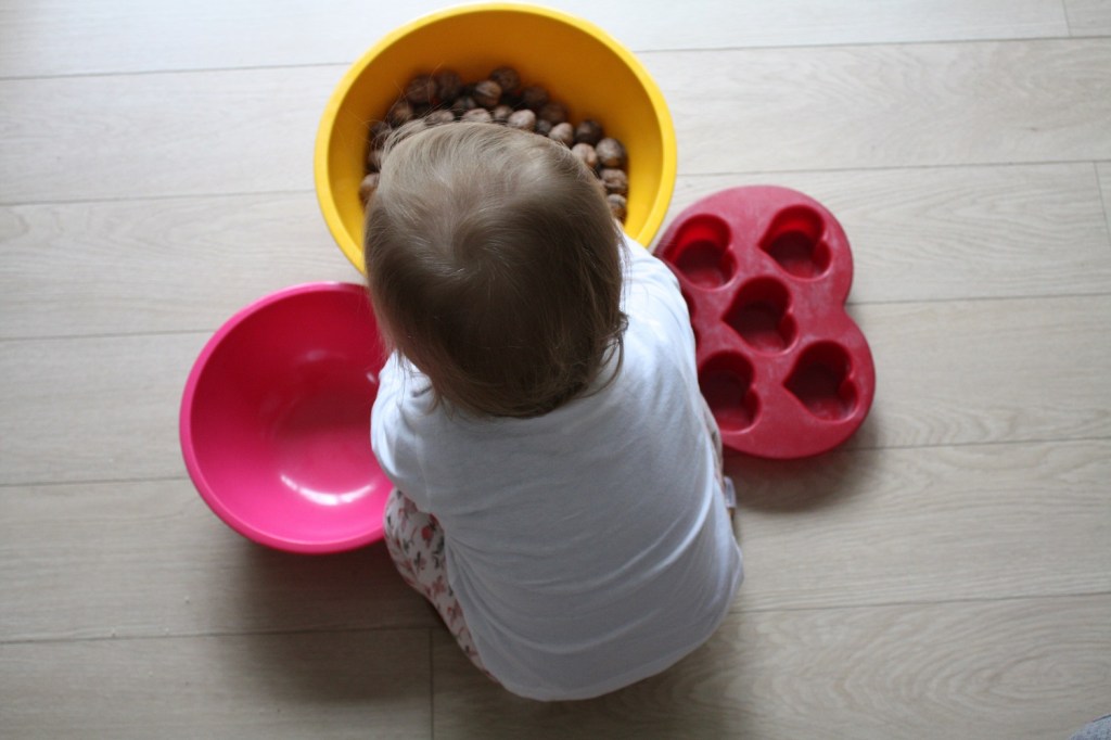 transvasement,montessori,noix,activité,motricité fine