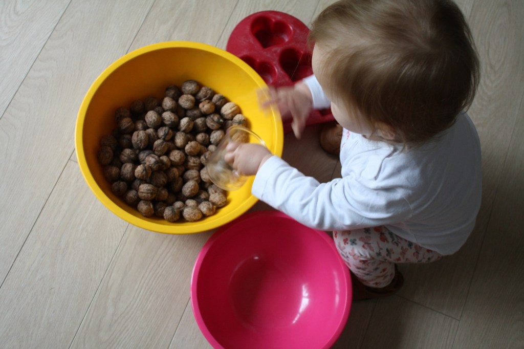transvasement,montessori,noix,activité,motricité fine