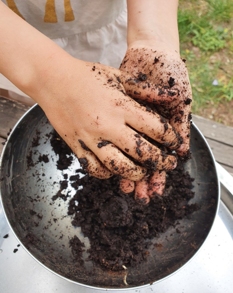 Fabriquer des bombes à graines fleurs